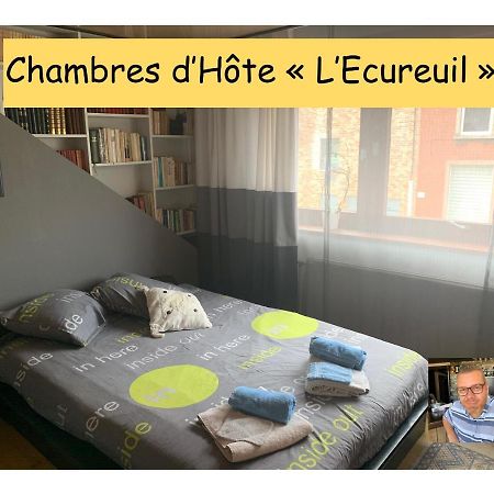 Chambres D'Hote "L Ecureuil" Proche De Mons, Pairi Daiza, A Cote De Spark'Oh Frameries Exterior foto